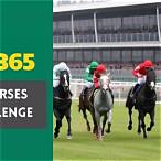to bet on horses have a